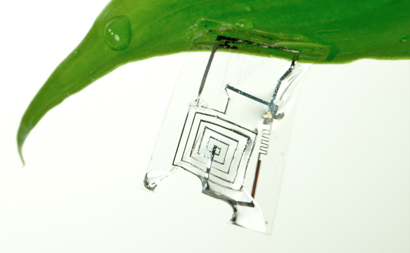 Illustration for article titled “Born to Die” Electronics Dissolve When Wet